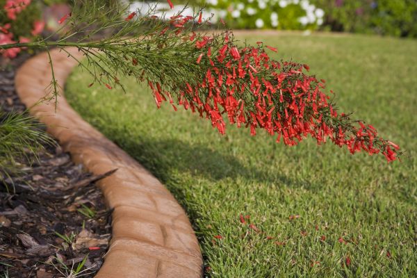 Brick Edging in Durham