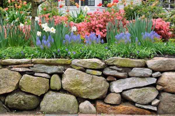 Stone Wall Hardscaping in Durham